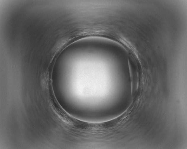 X0000057560107200509161013