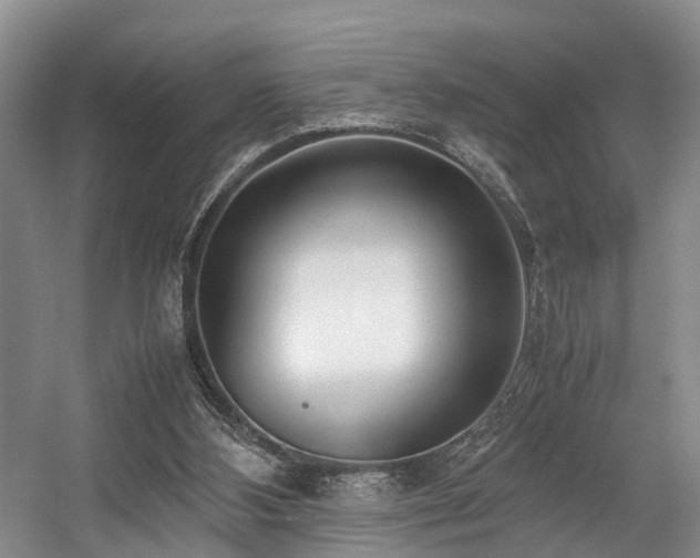 X0000057560108200509161013