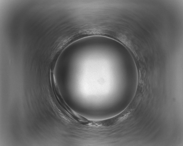 X0000057560109200509161013