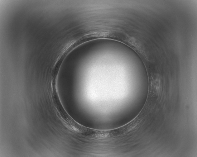 X0000057560110200509161013