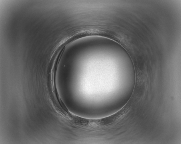 X0000057560111200509161013
