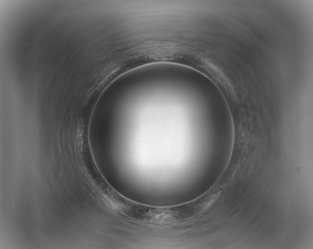X0000057560113200509161013