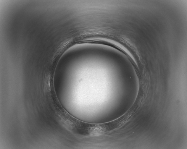 X0000057560115200509161013