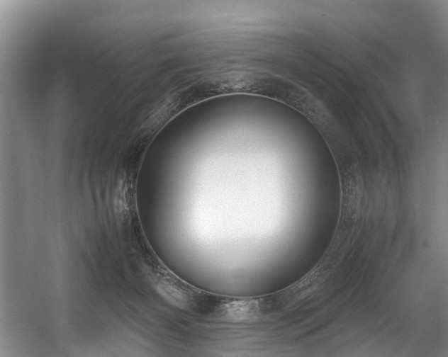 X0000057560126200509161013