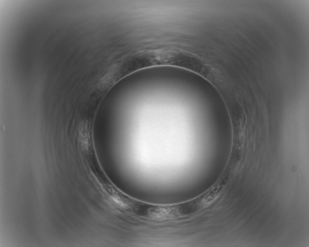 X0000057560129200509161013