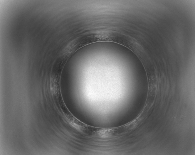 X0000057560136200509161013