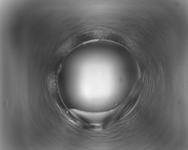 X0000057560137200509161013