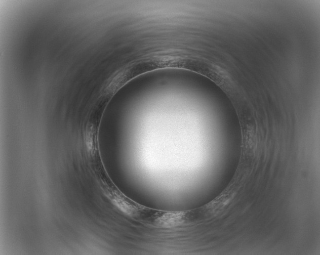 X0000057560138200509161013