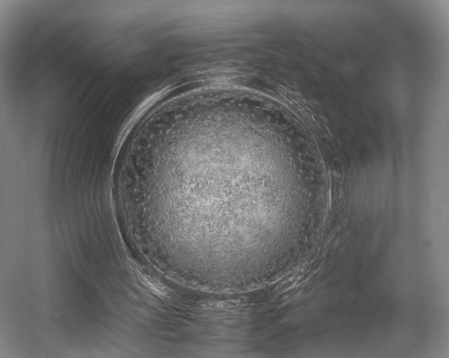 X0000057560147200509161012