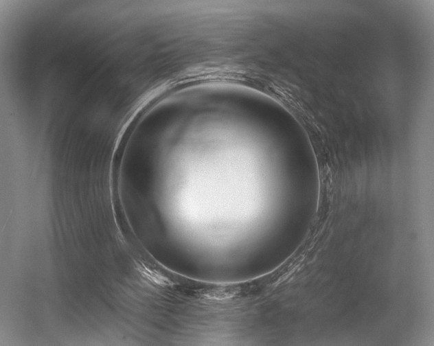 X0000057560148200509161012