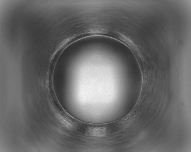 X0000057560155200509161012