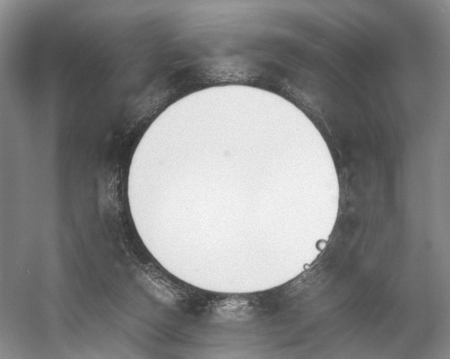 X0000057560162200509161012