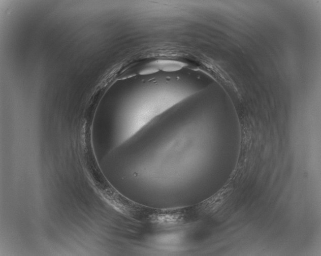 X0000057560163200509161012
