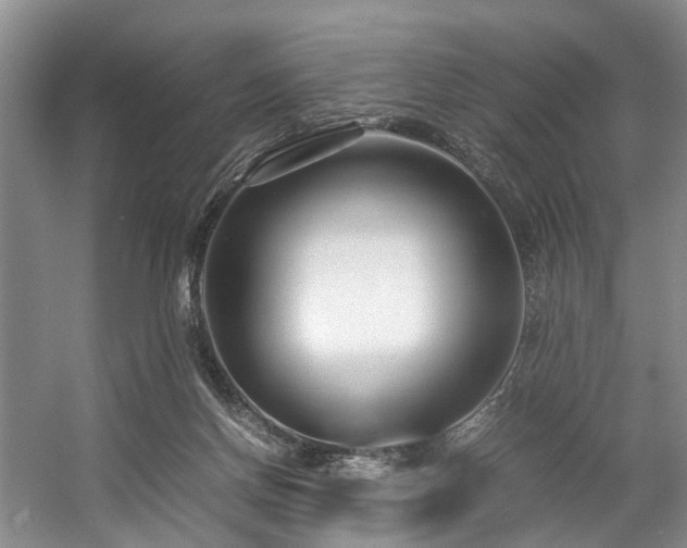 X0000057560166200509161012