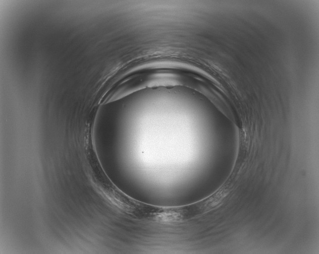 X0000057560168200509161012