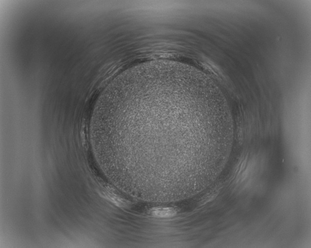 X0000057560169200509161012