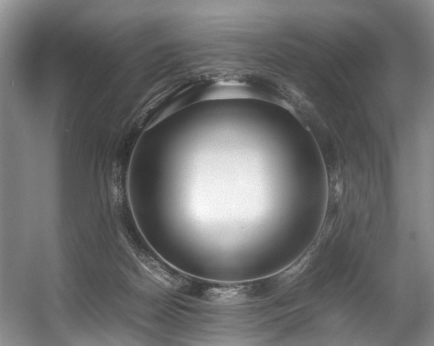 X0000057560170200509161012