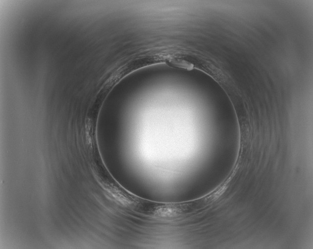X0000057560174200509161013