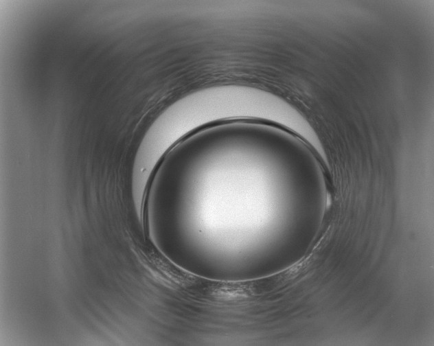 X0000057560175200509161013