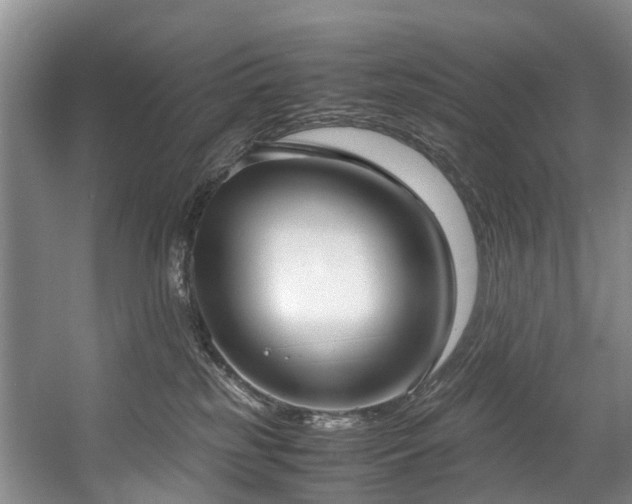 X0000057560185200509161013