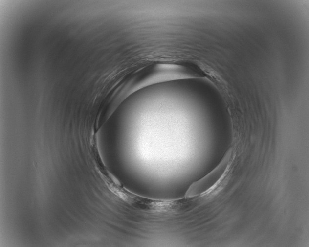 X0000057560192200509161013