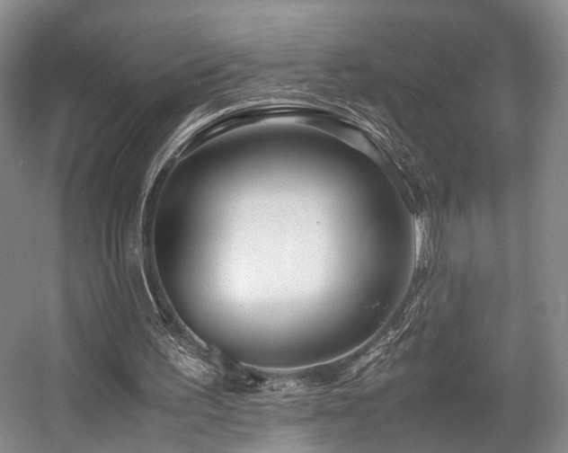 X0000057560195200509161012