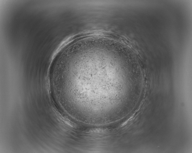 X0000057560198200509161012