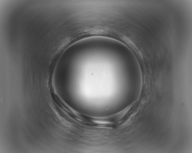 X0000057560201200509161012