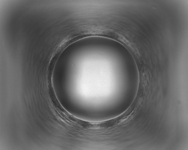 X0000057560203200509161012