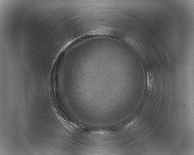 X0000057560204200509161012