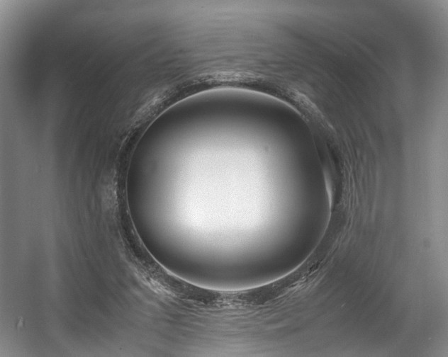 X0000057560207200509161012