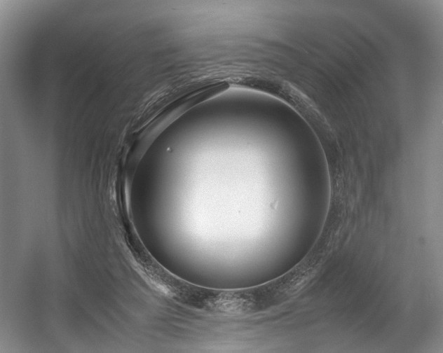 X0000057560209200509161012