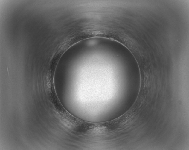 X0000057560210200509161012