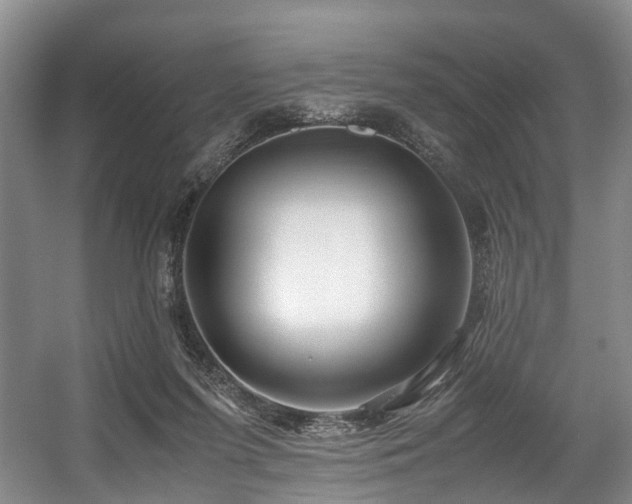 X0000057560215200509161012