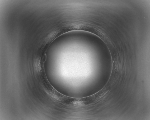 X0000057560216200509161012