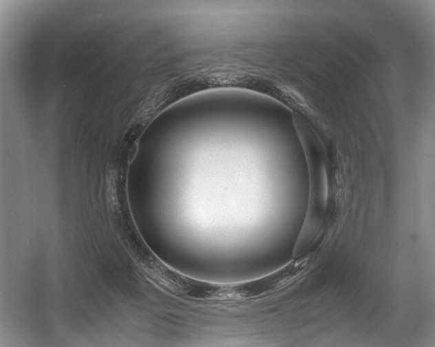 X0000057560217200509161012