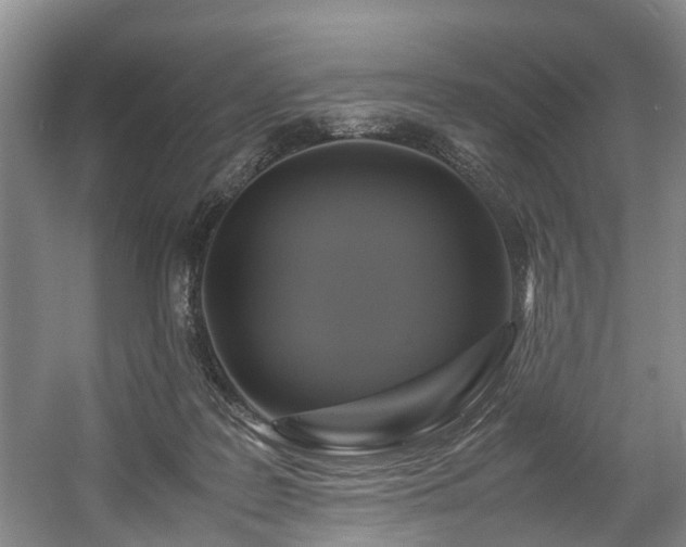X0000057560219200509161012