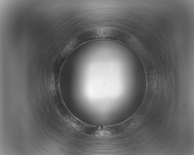 X0000057560220200509161012