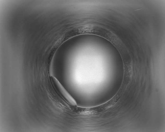 X0000057560224200509161011