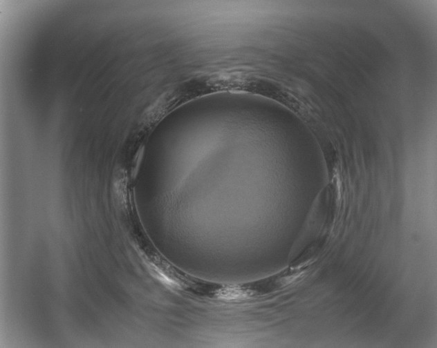 X0000057560231200509161011