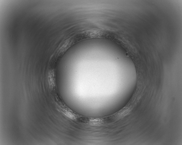 X0000057560240200509161011