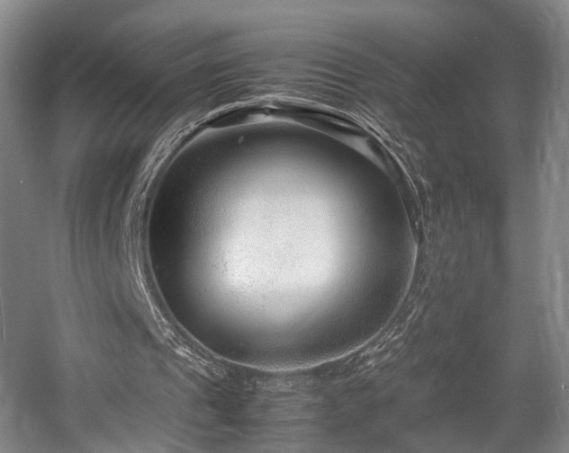 X0000057560241200509161010