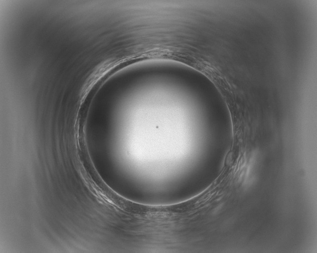 X0000057560242200509161010
