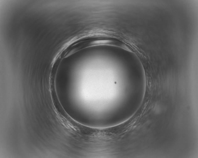 X0000057560244200509161010