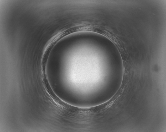 X0000057560245200509161010
