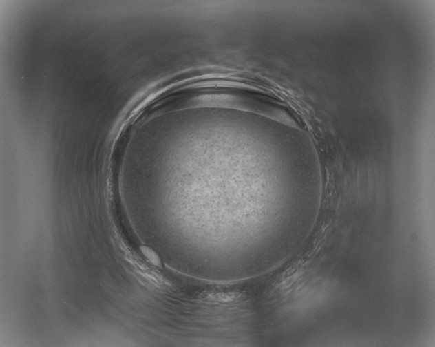 X0000057560247200509161010
