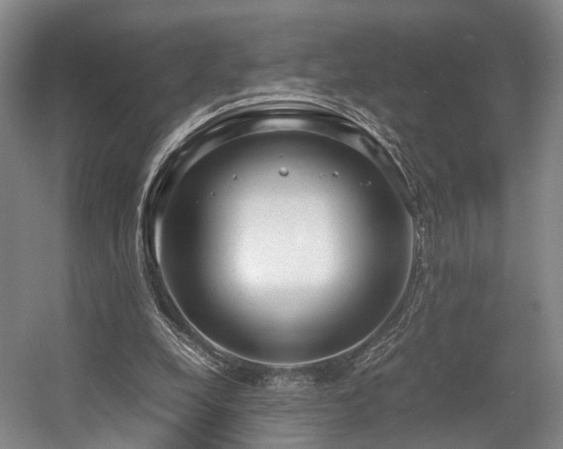 X0000057560248200509161010
