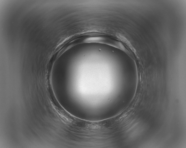 X0000057560249200509161011