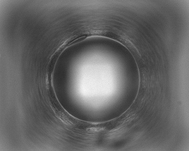 X0000057560251200509161011