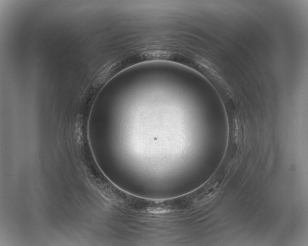 X0000057560259200509161011